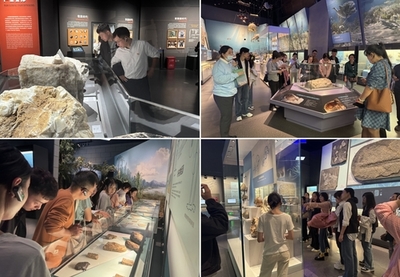 道中華之美，行后勤之實(shí) 后勤服務(wù)總公司赴成都理工大學(xué)博物館開展主題學(xué)習(xí)活動(dòng)